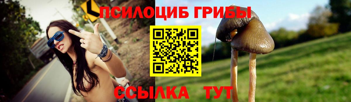 Сарапул  Галлюциногенные грибы прущие грибы  Вход с VPN 